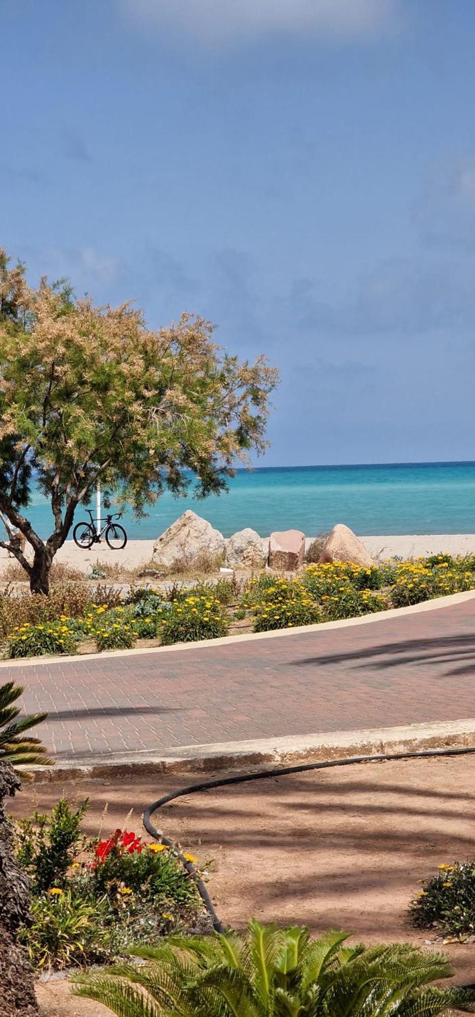 Apartamento Playa Moncofa-Chilches تشيلتشيش المظهر الخارجي الصورة
